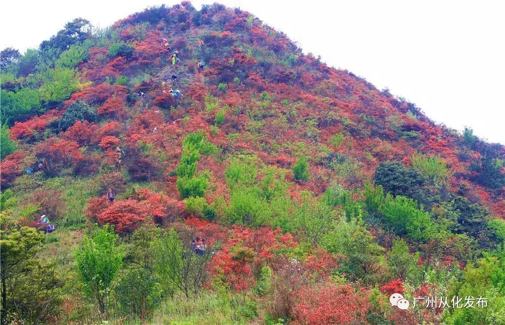 从化徒步路线_徒步路线从化怎么走_从化自由行徒步线路