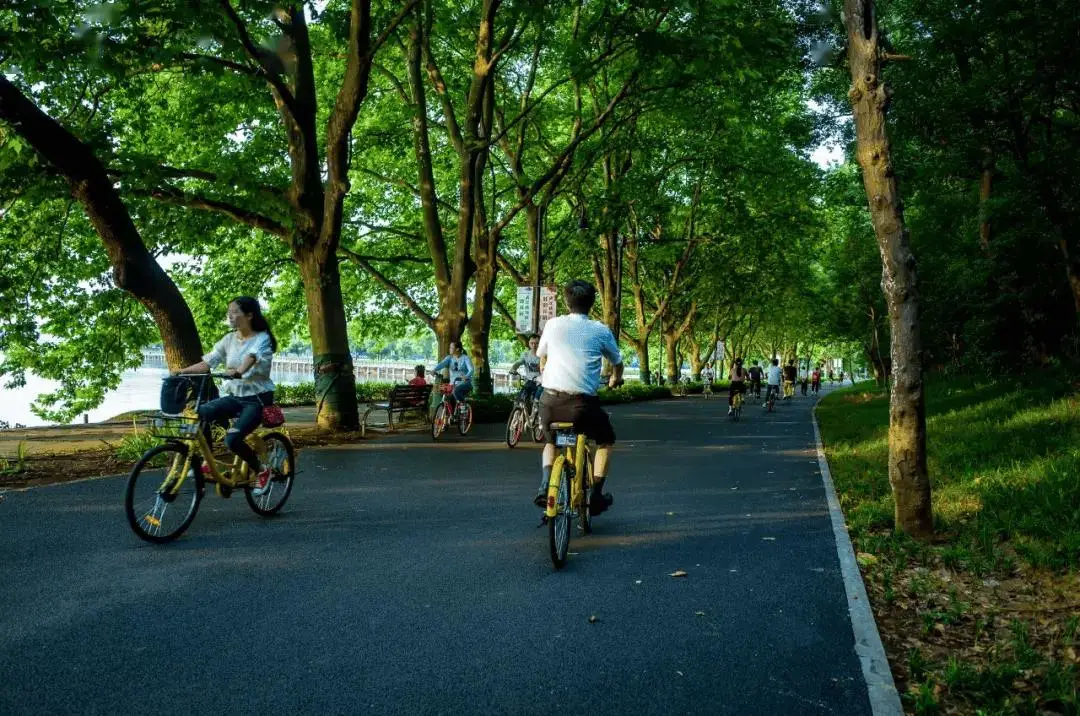 深圳徒步线路汇总_徒步路线深圳推荐地方_深圳徒步路线推荐