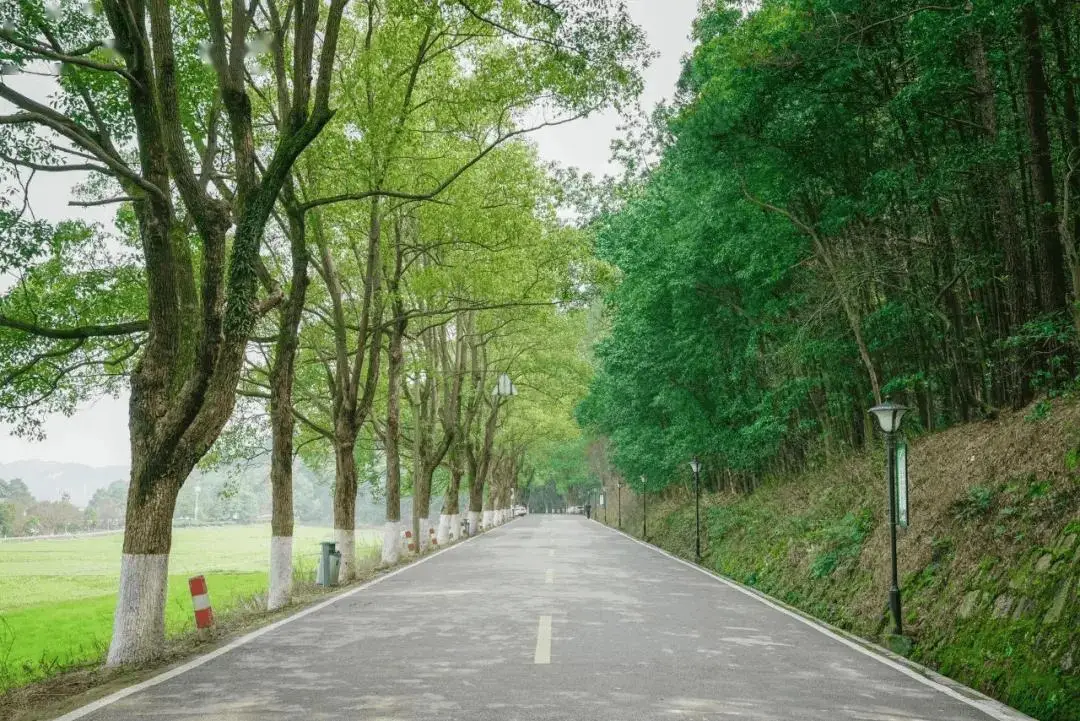 徒步路线深圳推荐地方_深圳徒步路线推荐_深圳徒步线路汇总