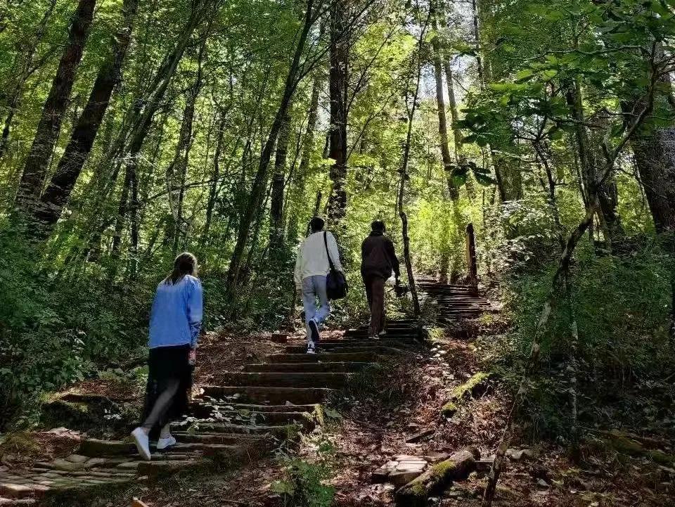 宝鸡最美徒步路线_徒步最美宝鸡路线图片_宝鸡周边徒步路线推荐