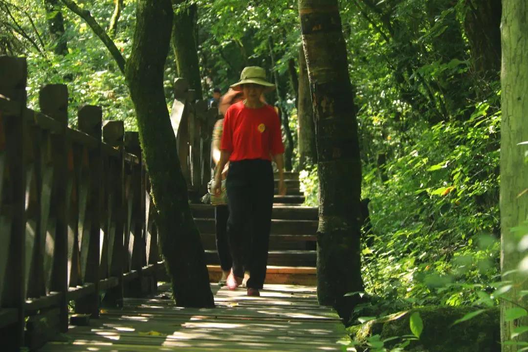 宝鸡最美徒步路线_徒步最美宝鸡路线图片_宝鸡周边徒步路线推荐