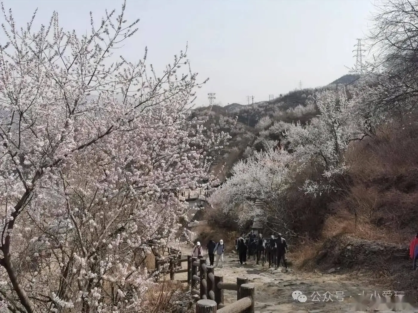 京西古道视频_京西古道徒步路线_京西古道徒步需要多长时间