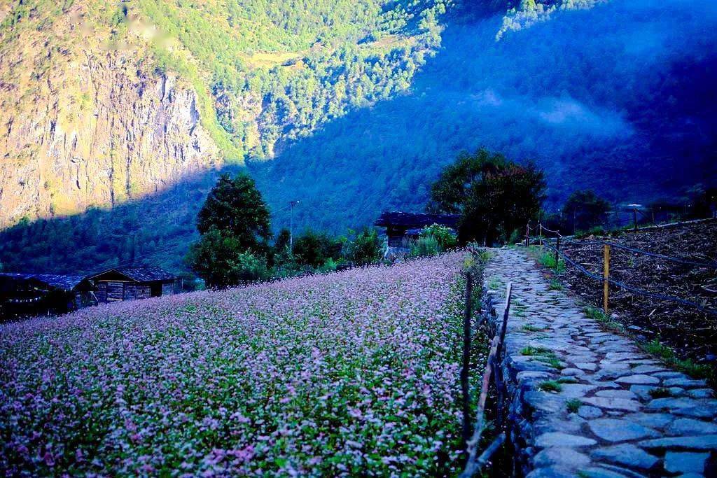 徒步旅行：挑战自我，体验秦岭鳌太穿越的壮丽风光