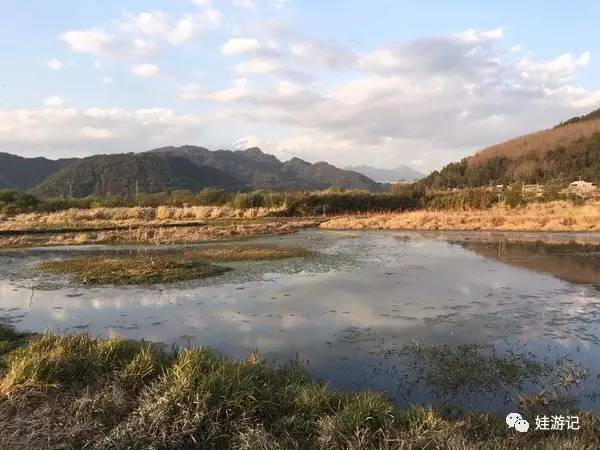 徒步上海路线市内路线图_上海市内徒步路线_上海市区徒步线路