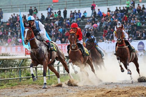 赤水露营基地_赤水旅游公路露营地点_赤水哪里可以露营搭帐篷