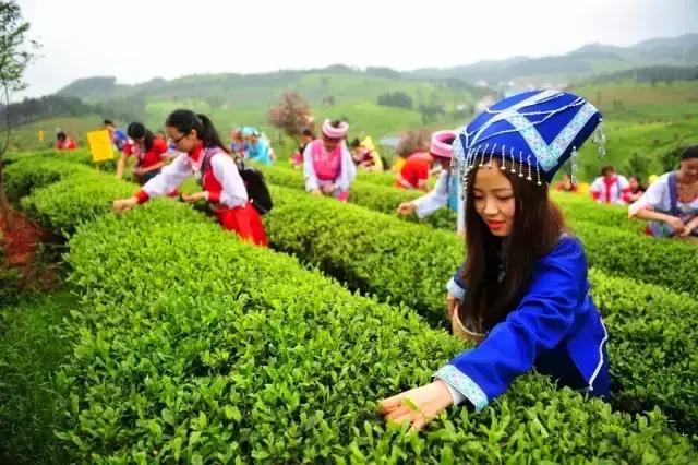 赤水哪里可以露营搭帐篷_赤水旅游公路露营地点_赤水旅游公路自驾游