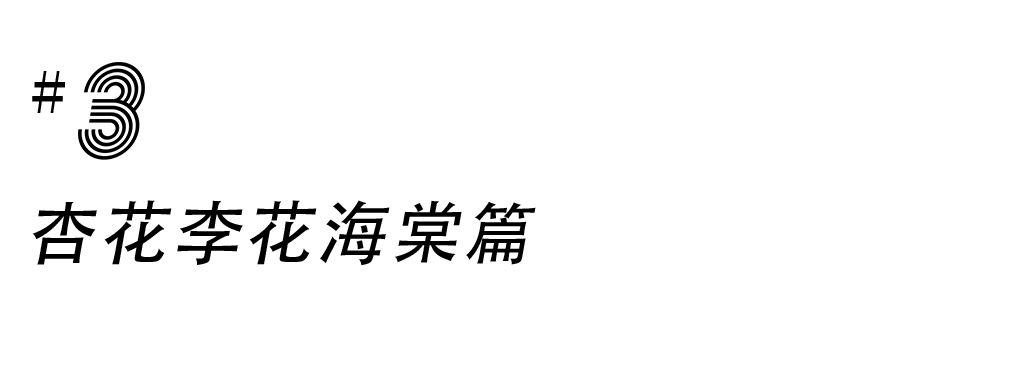 绵阳周边露营地点推荐_绵阳周边自然风光露营_绵阳周边8个最佳露营地