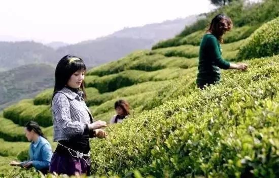 绵阳露营地点推荐_绵阳周边8个最佳露营地_绵阳周边露营基地