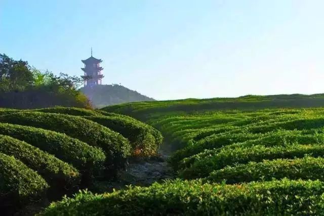 绵阳露营地点推荐_绵阳周边露营基地_绵阳周边8个最佳露营地