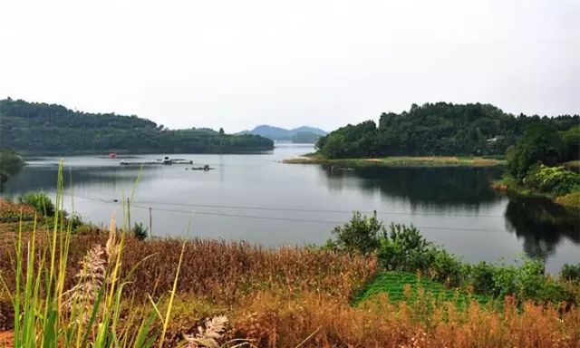 绵阳周边露营地点推荐_绵阳周边8个最佳露营地_绵阳周边自然风光露营