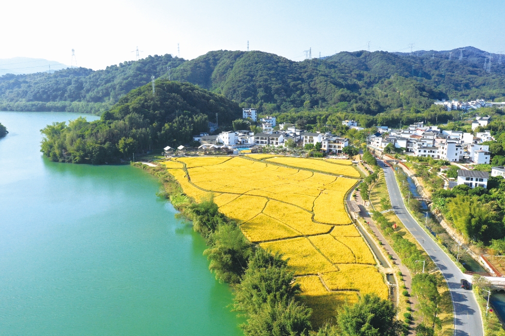 探索从化美丽乡村游路线图，体验绿色生态与人文历史的诗意生活