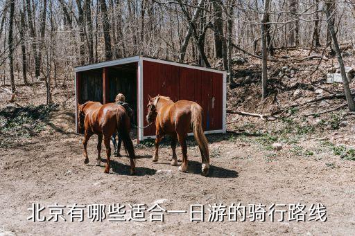 北京春季最佳骑行路线推荐：经典一日游与教堂文化骑行攻略