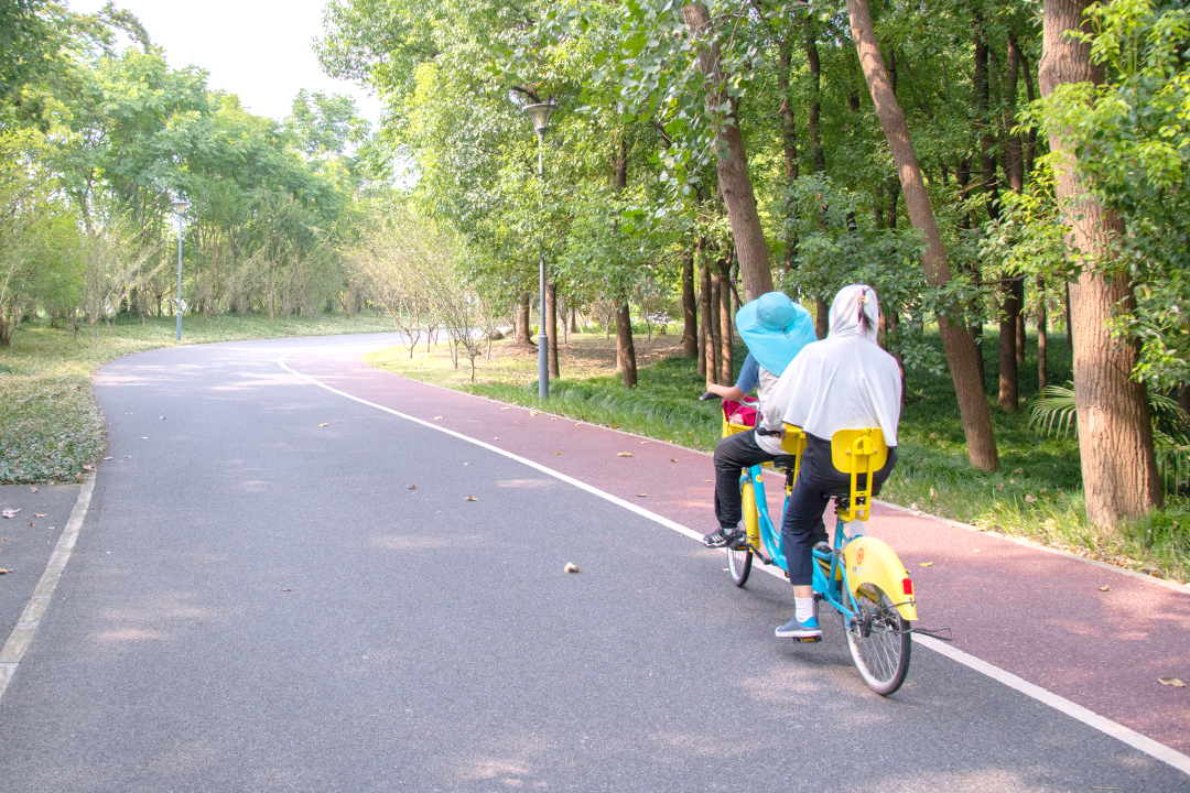 骑行松江路线图片_松江骑行路线_松江最美骑行路线