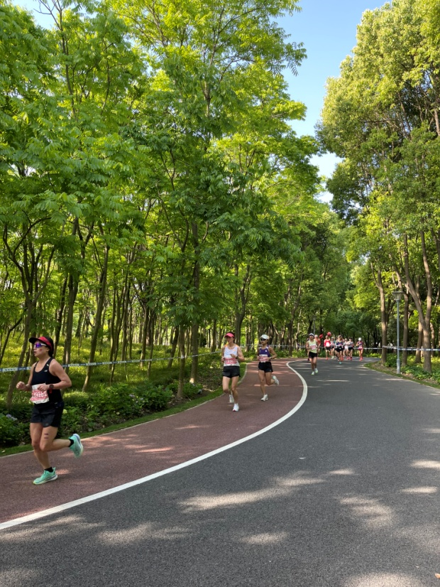 骑行松江路线图片_松江最美骑行路线_松江骑行路线