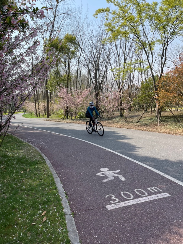 松江最美骑行路线_骑行松江路线图片_松江骑行路线