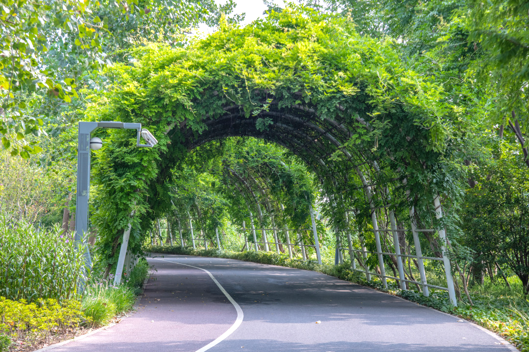 松江骑行路线_松江最美骑行路线_骑行松江路线图片