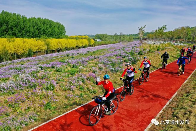 大运河森林公园骑行路线_大运河森林公园骑行_运河绿道骑行