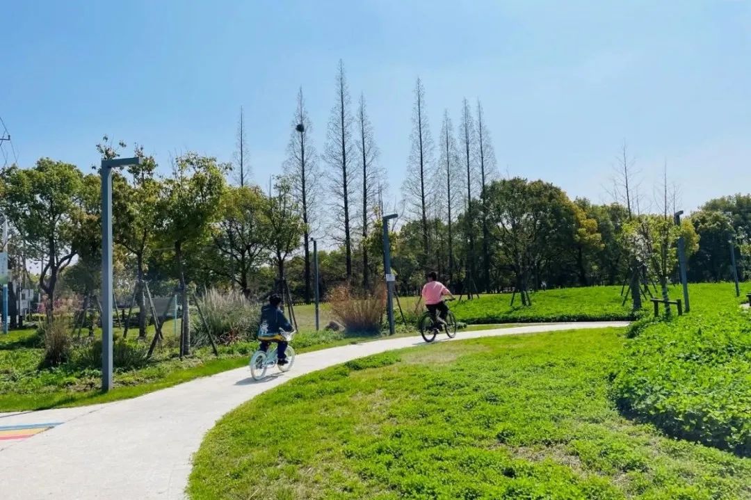 秋日骑行新体验：2.7公里闵行乡村线，带你邂逅沪郊美景